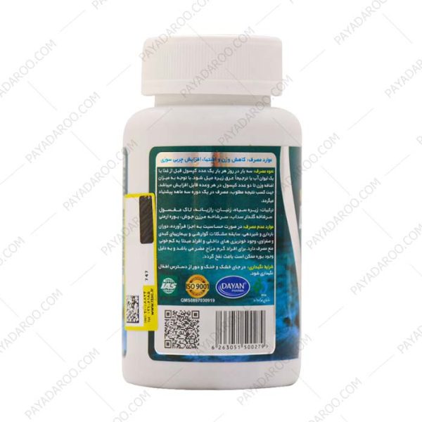 قرص لاغری دایان فیت دایان فارما 60 عدد - Dayan Fit Dayan Pharma 60 Caps