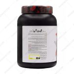 پودر گین آپ بزرگسالان پی ان سی کارن موزی - Gain UP Hard Gainer PNC Karen Banana