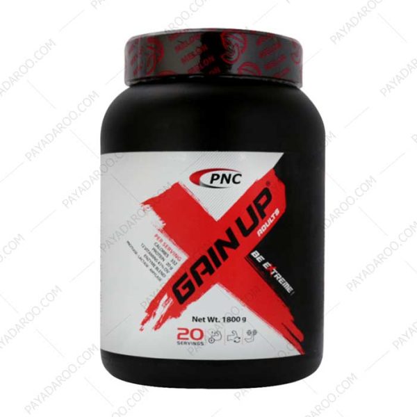 پودر گین آپ بزرگسالان پی ان سی کارن ملون - Gain UP Hard Gainer PNC Karen Melon