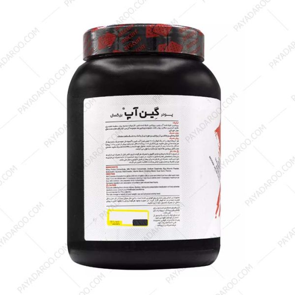 پودر گین آپ بزرگسالان پی ان سی کارن بیسکوییتی- Gain UP Hard Gainer PNC Karen Biscuit
