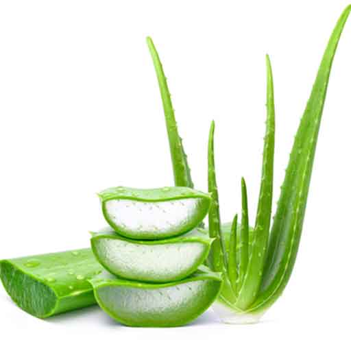 آلوئه ورا - Aloevera