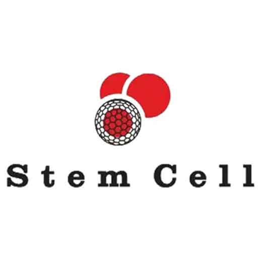 استم سل - Stem Cell