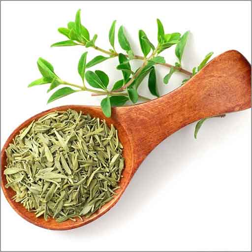 آویشن - thyme