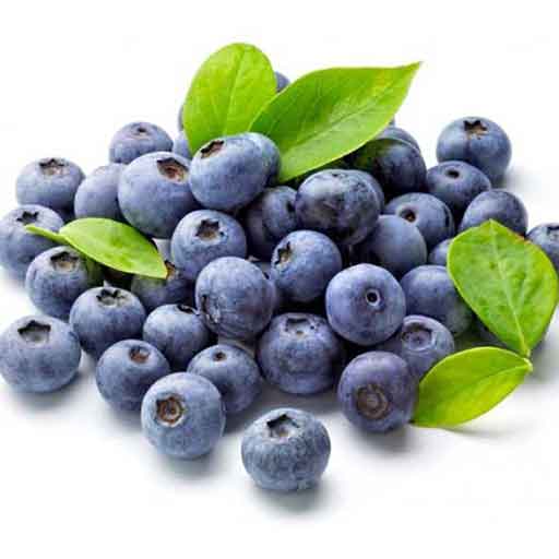 بلوبری-blueberry