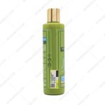 شامپو تقویت کننده موی خشک و آسیب دیده فلوس فلاور 250 میلی لیتر - Floss Flower Horstail Shampoo 250 Ml