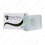 پن شفاف استم سل مناسب پوست چرب - Stem Cell Oily And Acne Prone Syndet Bar 100 g