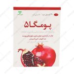 کپسول نرم پومگا 5 وشا دارو -Vasha Darou Pomega5 60 Softgel