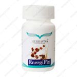 قرص انرژیفیکس هرباویوا 60 عددی - herbaviva energifix 60 capsules